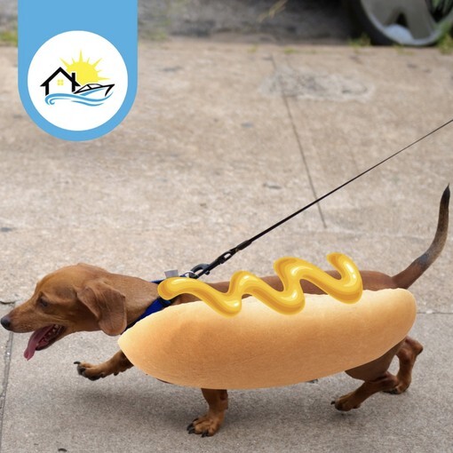 Hot dog costume