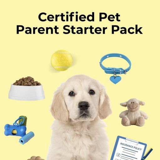 Certified Pet Parent Starter Pack