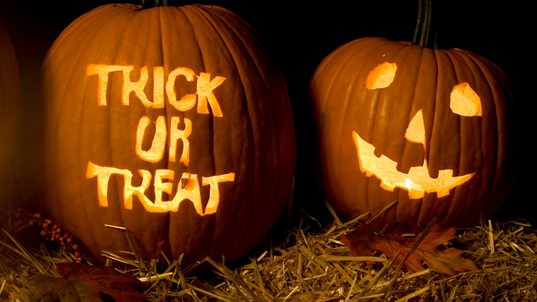 trick or treat halloween pumpkins